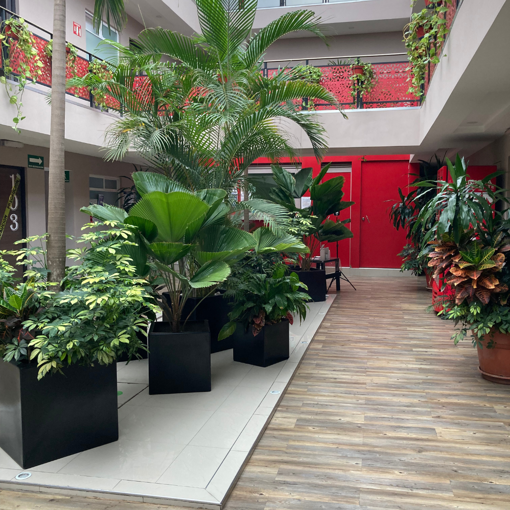 hotelkiara